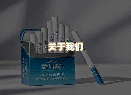 关于云歌烟网